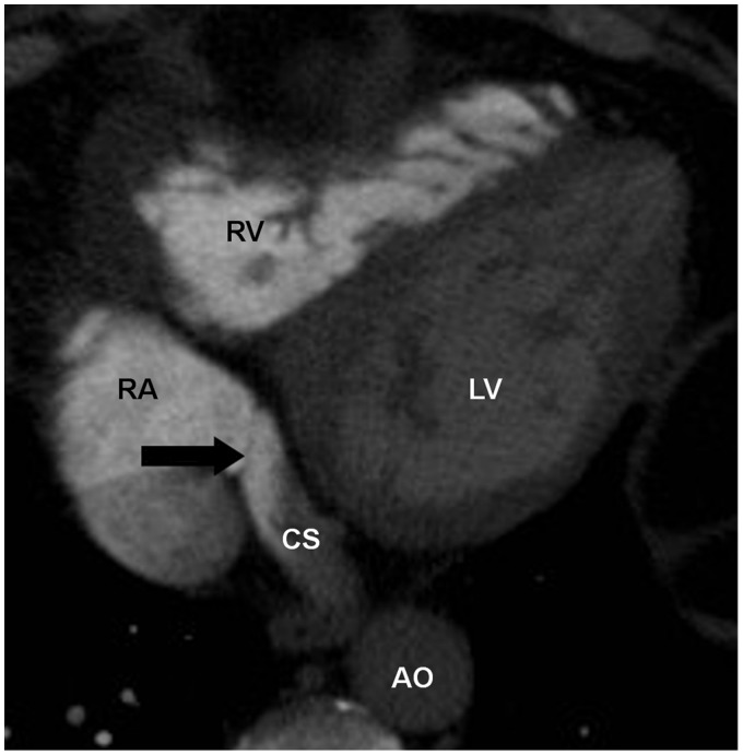 Fig. 4.