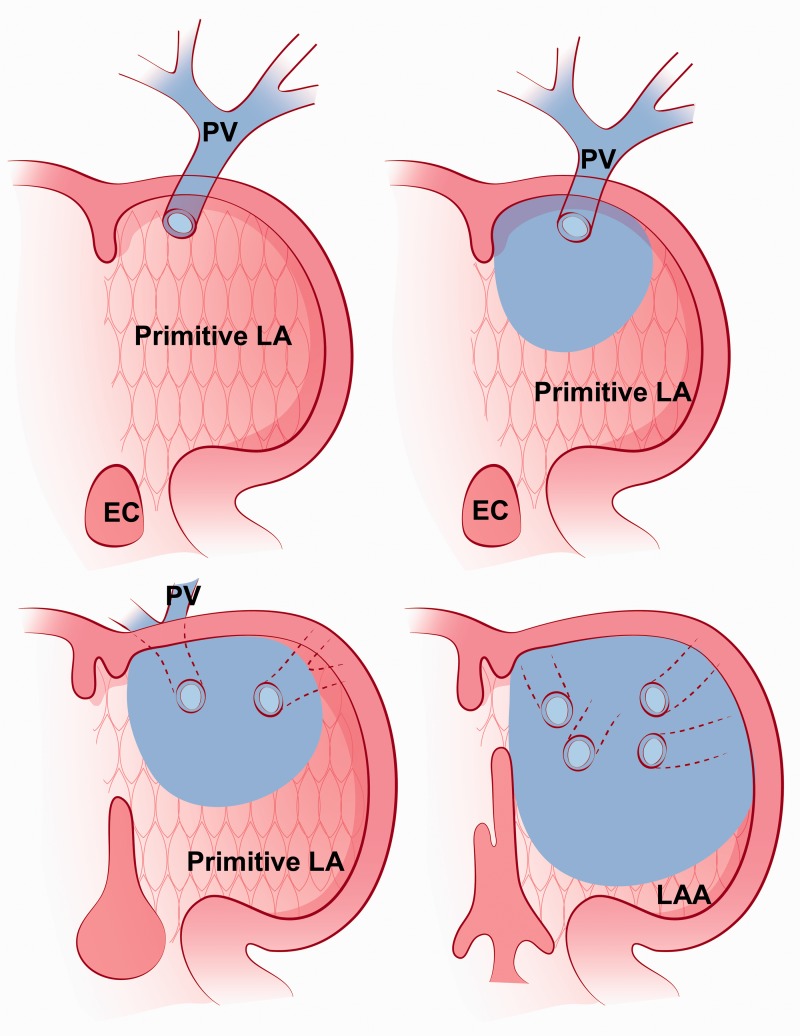 Fig. 5.