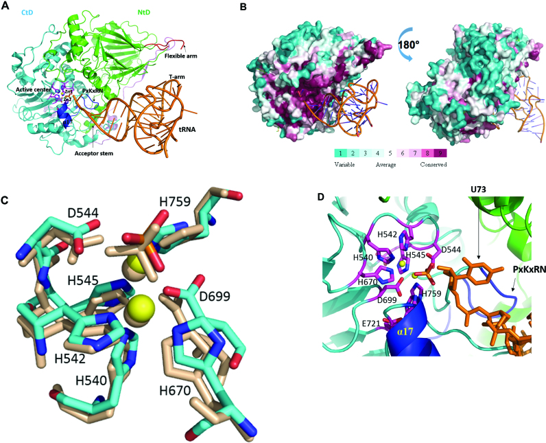 Figure 3.