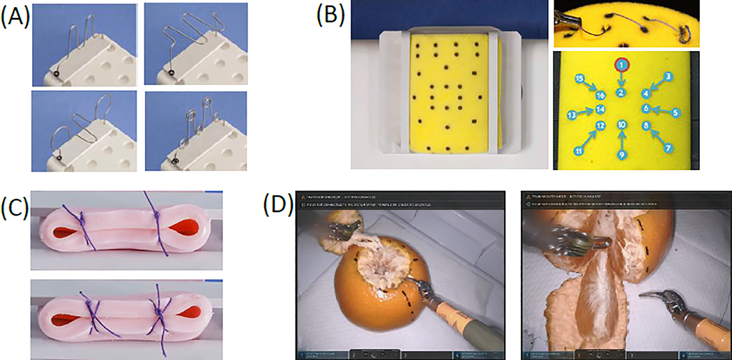 Fig. 1