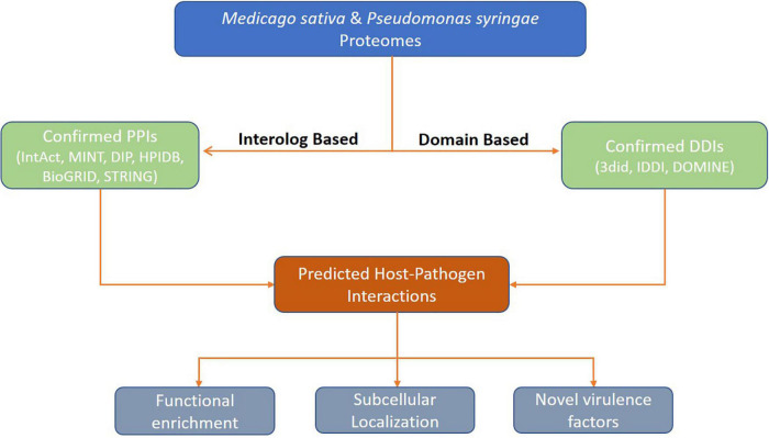 FIGURE 1