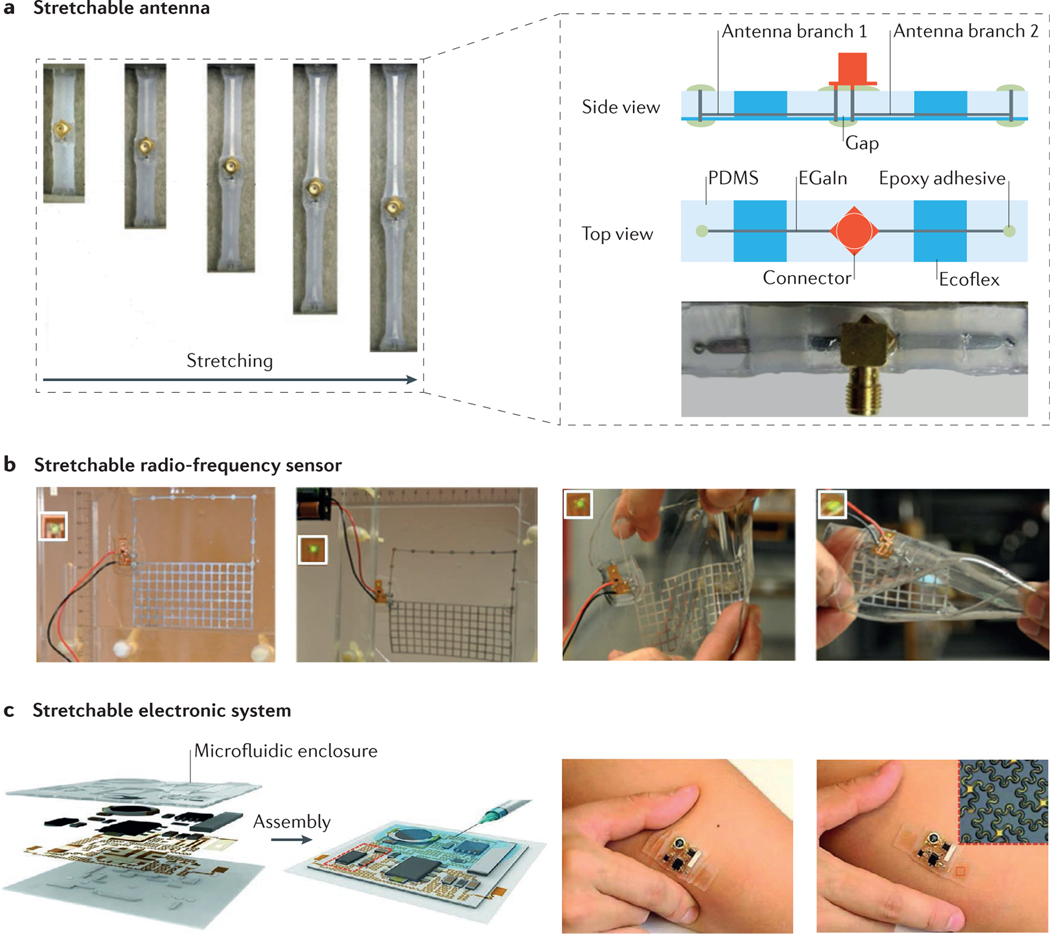 Figure 2 |