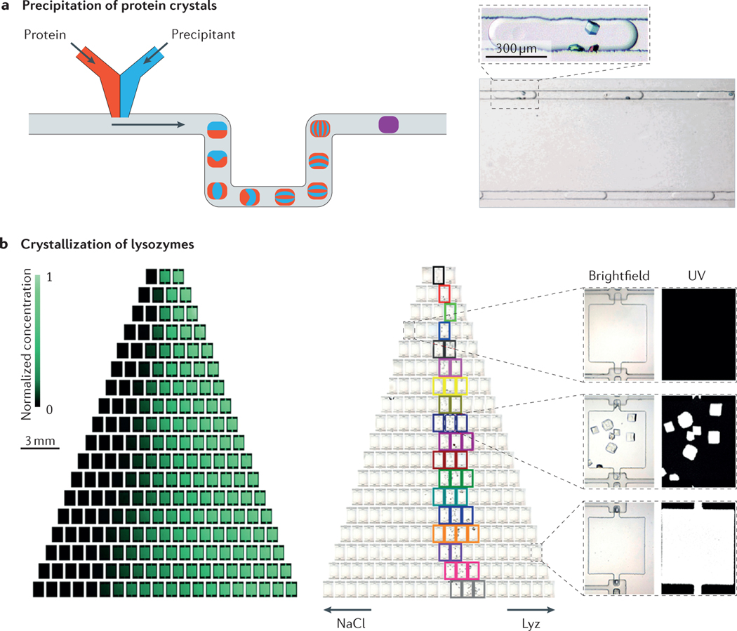 Figure 5 |