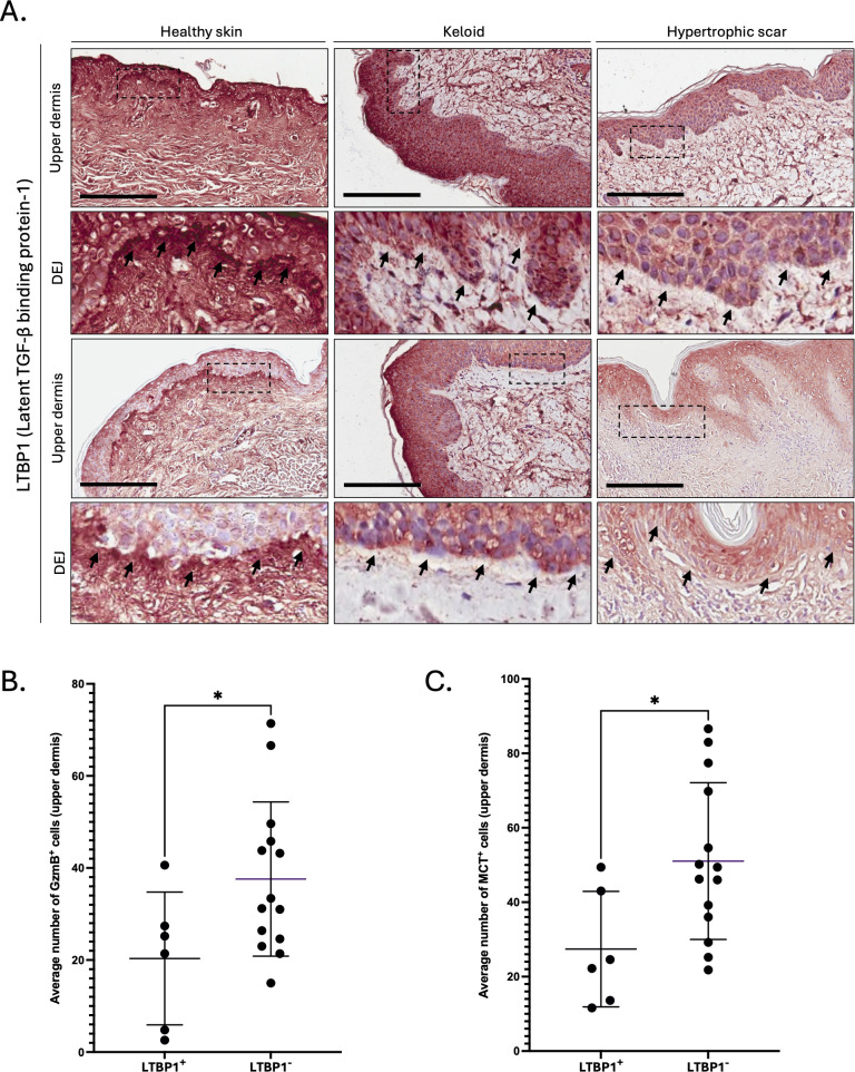 Figure 5