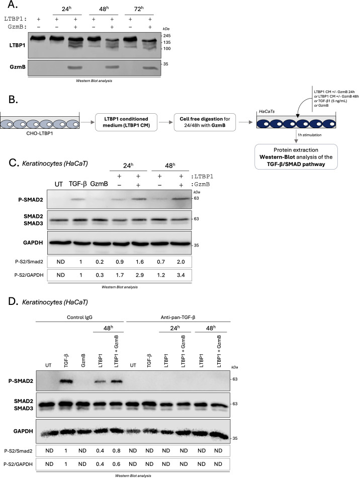 Figure 7
