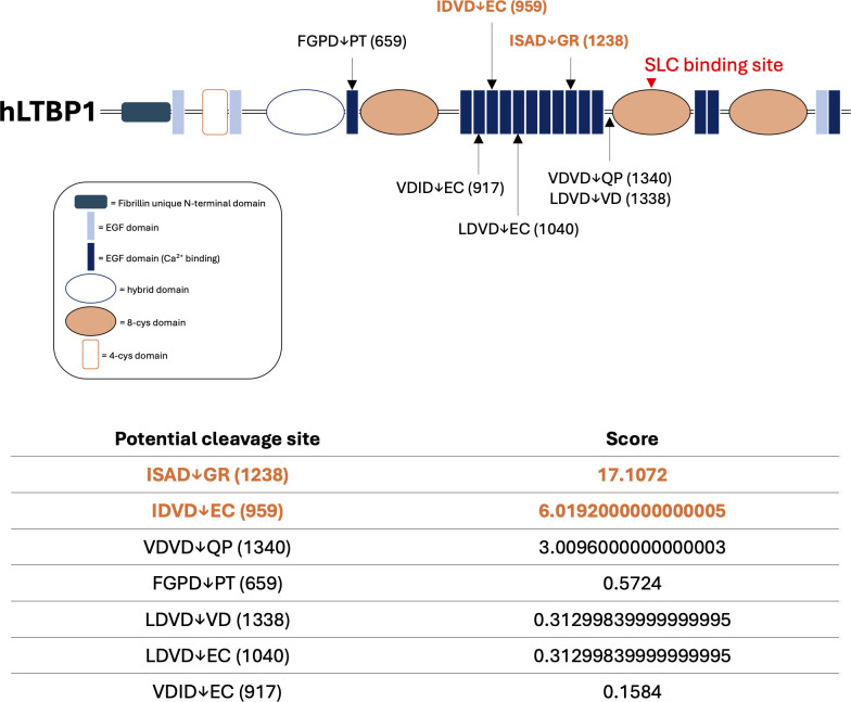 Figure 6