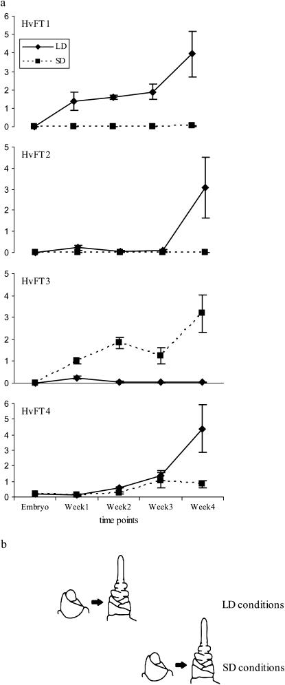 Figure 3.—