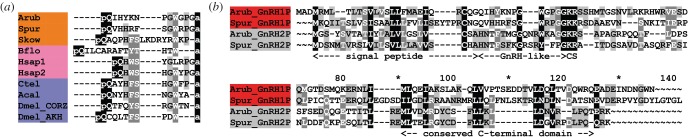 Figure 11.