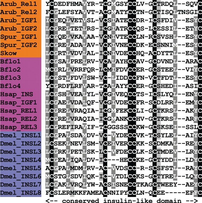 Figure 20.