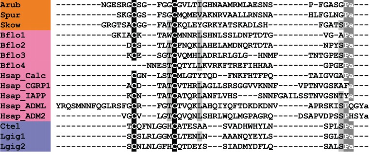 Figure 13.