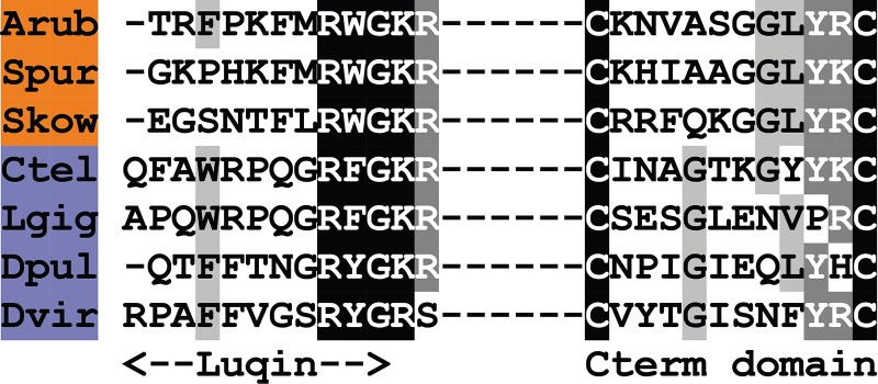 Figure 16.