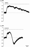 Fig. 13.