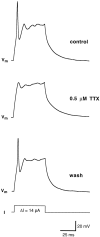 Fig. 9.
