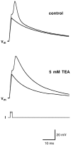 Fig. 10.