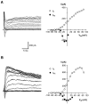 Fig. 15.