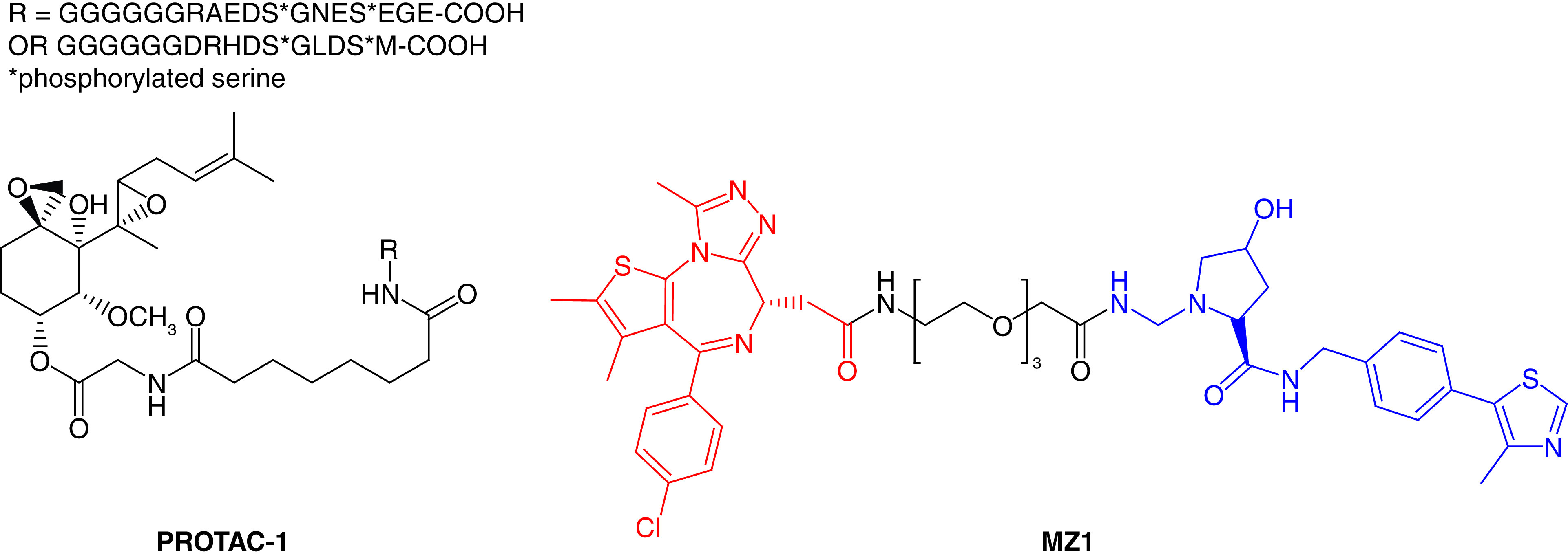 Figure 2. 