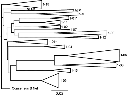 FIG. 1.