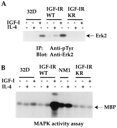 FIG. 9