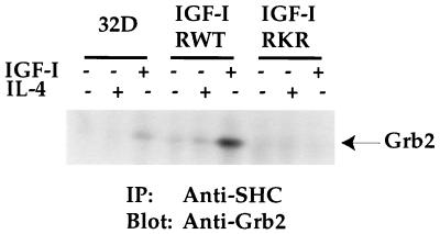 FIG. 8