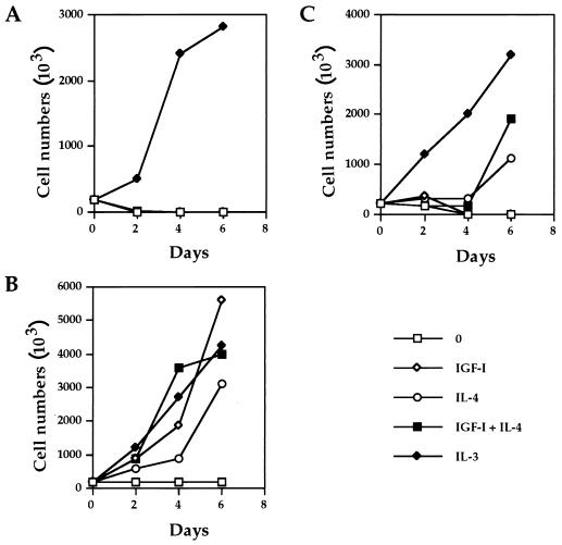 FIG. 3