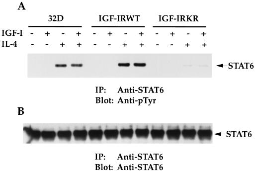 FIG. 11