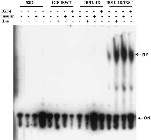 FIG. 5