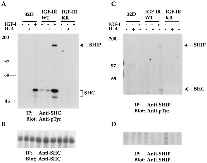 FIG. 7