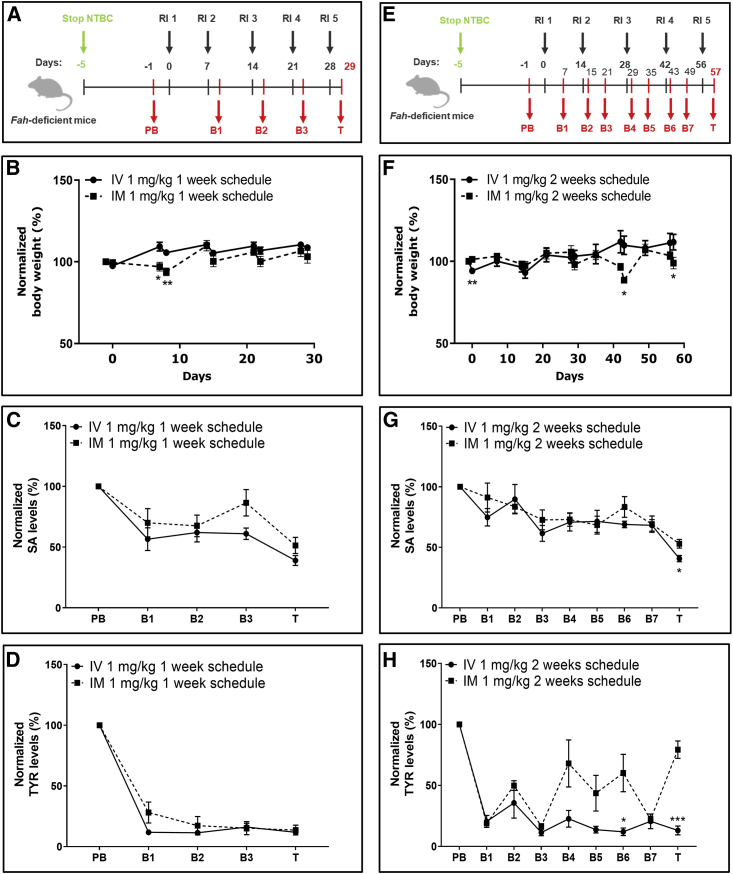 Figure 6