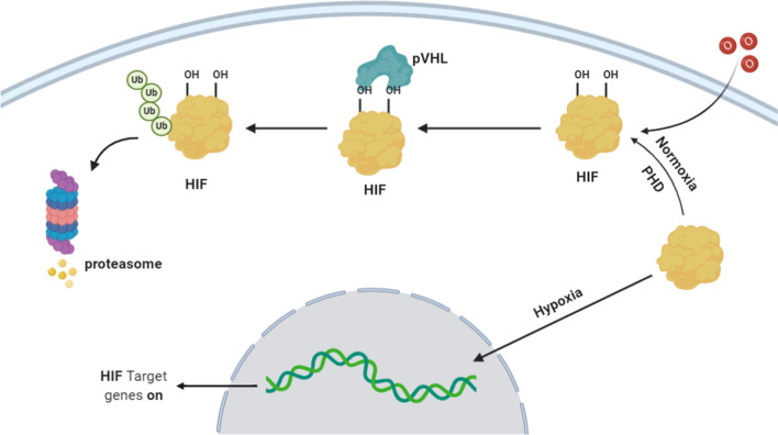 Fig.1