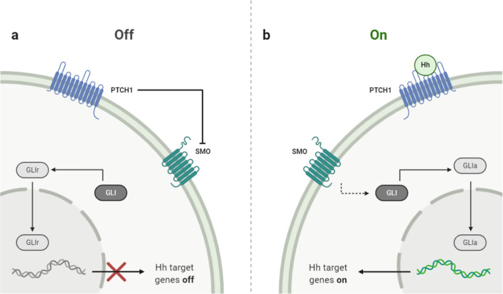 Fig.4