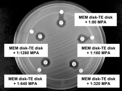 FIG. 3.