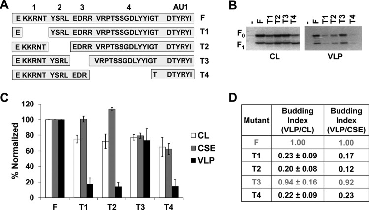 FIG 3