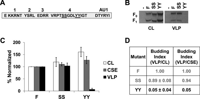 FIG 6