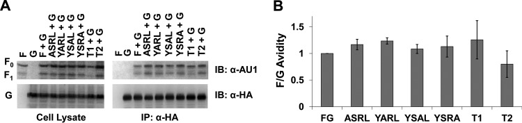 FIG 8