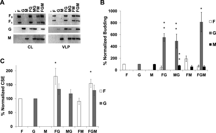 FIG 1