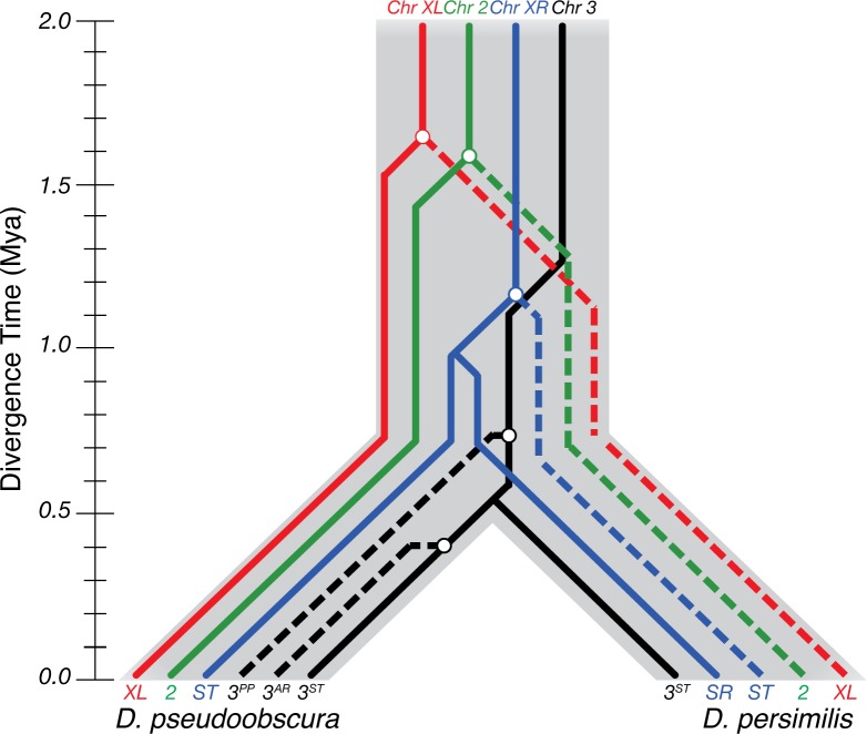 Fig 5