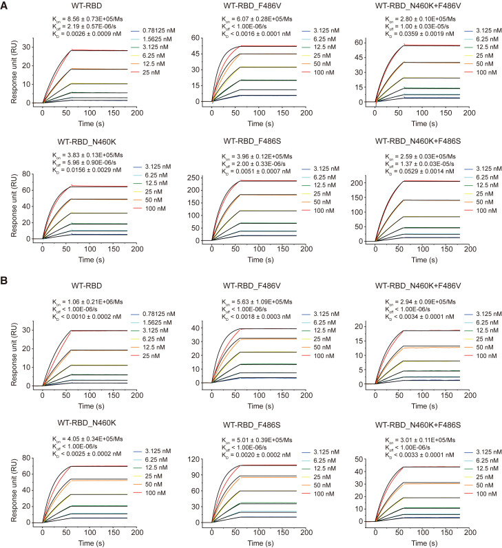 Figure 4