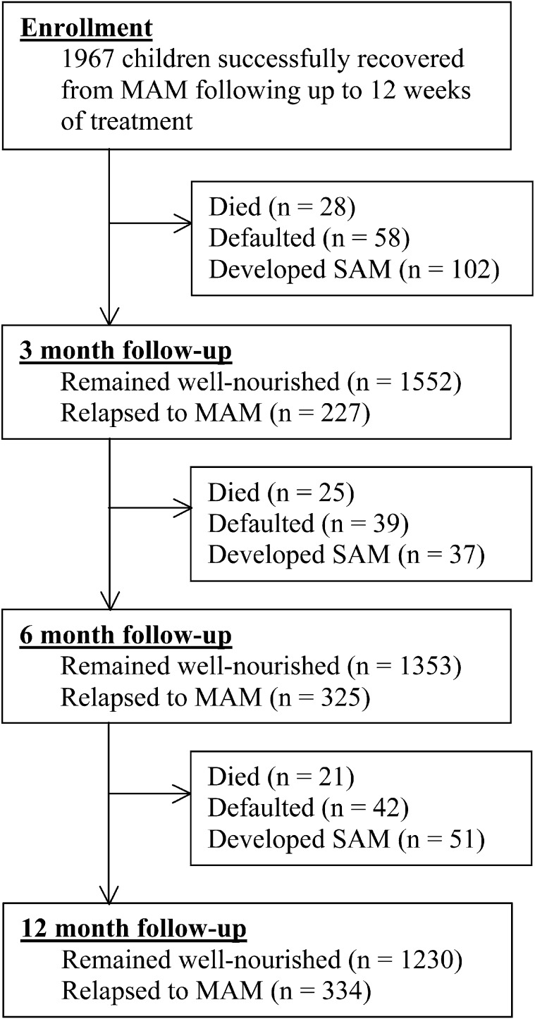 FIGURE 1