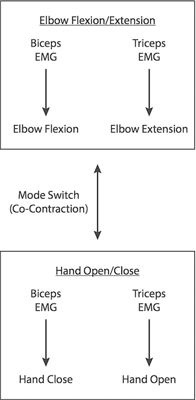 Fig. 9