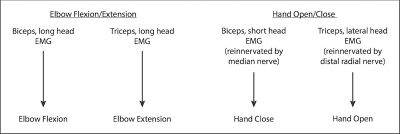 Fig. 10