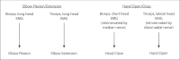 Fig. 10