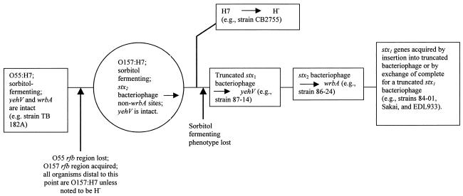 FIG. 4.