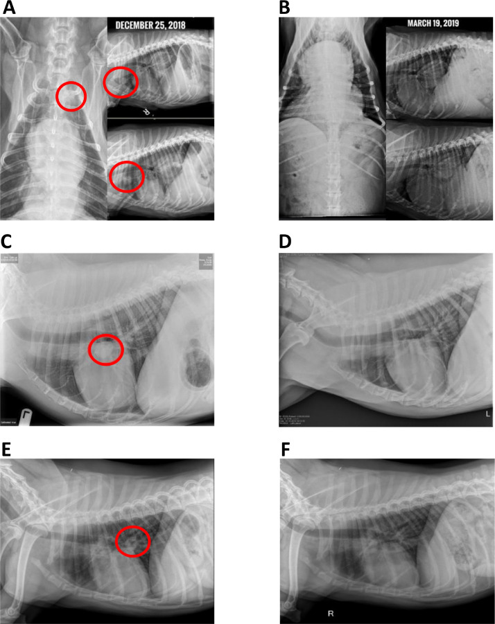 Fig 5