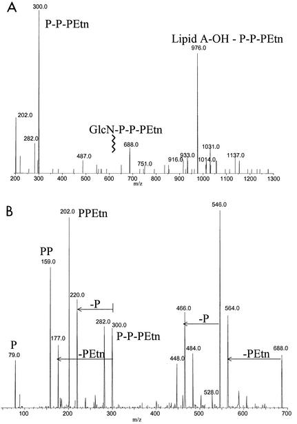 FIG. 6.