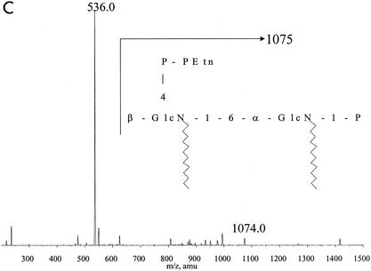 FIG. 4.