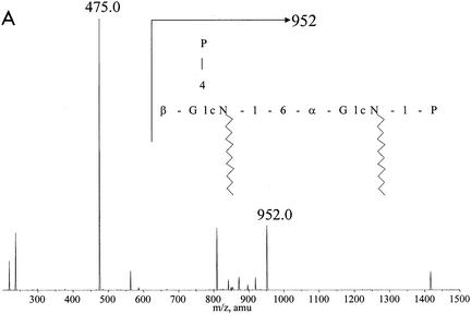 FIG. 4.