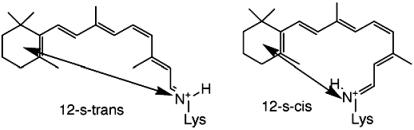 Scheme. 2.