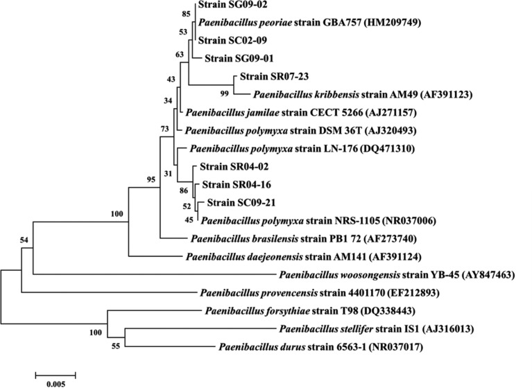 Fig. 2