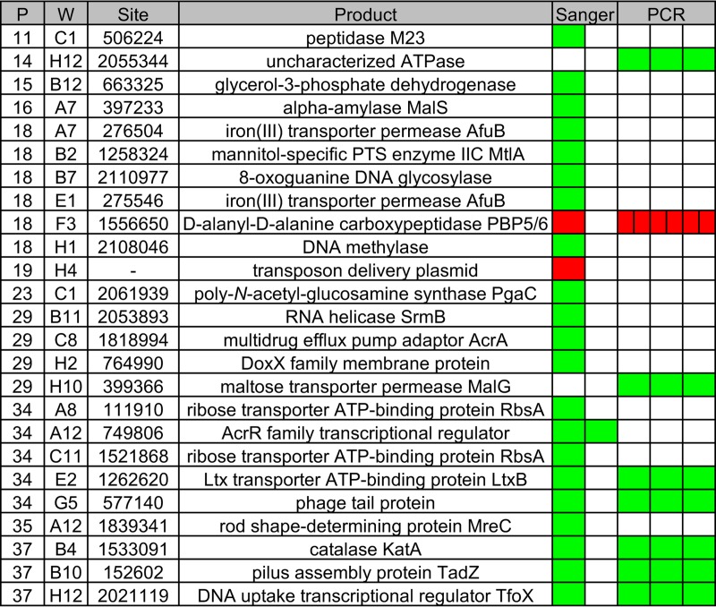 FIG 3