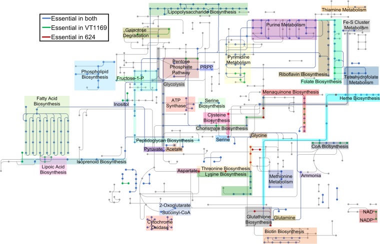 FIG 2